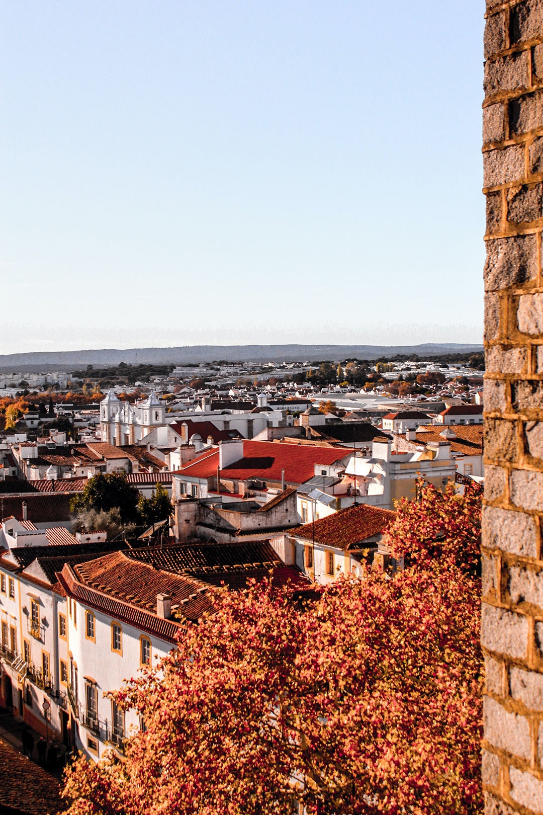 Cultural Strategy for Evora and Central Alentejo, Portugal
