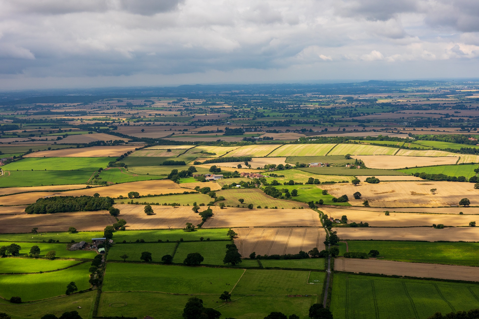 Evaluation of Culture Change, UK